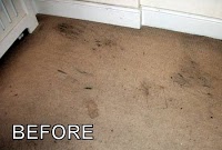 Cleaner Carpets Bristol 357478 Image 6
